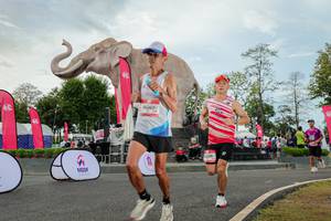 BIB: 
                            <button type="button" onclick="openModal(26528733)" class="btn btn-primary btn-sm float-right btn-popup" data-toggle="modal" data-target=".modal-high-quality">
                        <i class="fas fa-shopping-cart"></i> Add to Cart
                    </button>
                                            <button type="button" onclick="isThisMe(26528733, true)" class="btn btn-success btn-sm float-right btn-popup btn-isme hidden" data-toggle="tooltip" data-placement="bottom" title="นี่คือรูปของคุณใช่ไหม คลิกที่นี่เพื่อเอาเข้าอัลบั้ม">
                        <i class="fas fa-plus"></i> Add to album
                    </button>
                    <button type="button" onclick="isThisMe(26528733, false)" class="btn btn-warning btn-sm float-right btn-popup btn-isnotme hidden">
                        <i class="fas fa-ban"></i> Remove from album
                    </button>